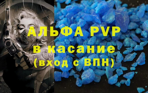 ПСИЛОЦИБИНОВЫЕ ГРИБЫ Гусиноозёрск