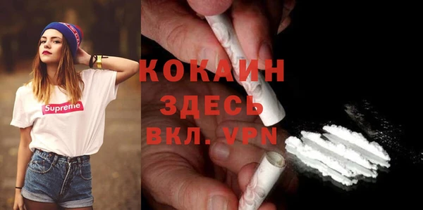 ПСИЛОЦИБИНОВЫЕ ГРИБЫ Гусиноозёрск